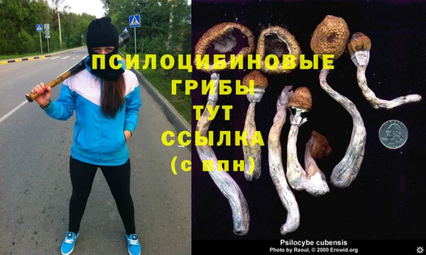 соль ск Саяногорск