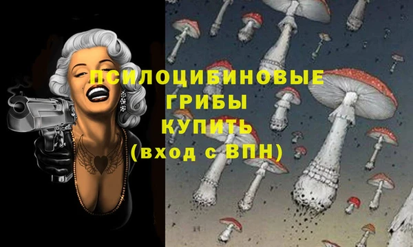 герыч Алзамай
