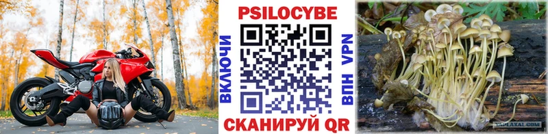мега как войти  Дятьково  Псилоцибиновые грибы Magic Shrooms 