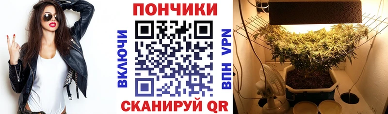 Шишки марихуана семена  Дятьково 
